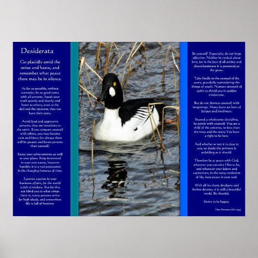 DESIDERATA Zoekend Duck Posters 2 (Voorkant)
