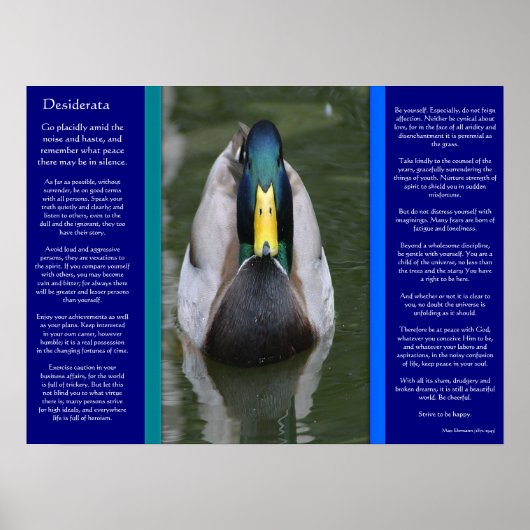 DESIDERATA Zoekend Duck-Posters Poster (Voorkant)