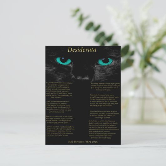 Desiderata zwarte kat met zijn turquoise ogen briefkaart (Staand voorkant)
