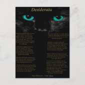 Desiderata zwarte kat met zijn turquoise ogen briefkaart (Voorkant)