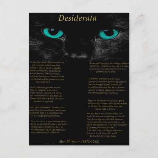 Desiderata zwarte kat met zijn turquoise ogen briefkaart (Voorkant)
