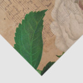 Design 4 van de Reeks van de Muziek en van de Roze Tissuepapier (Detail)