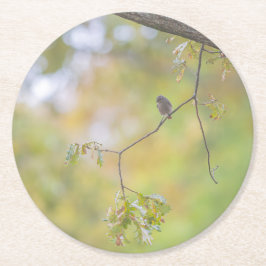 design natuur ronde kartonnen onderzetter