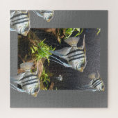 Design Puzzle: Tropische gestripte vis Legpuzzel (Horizontaal)