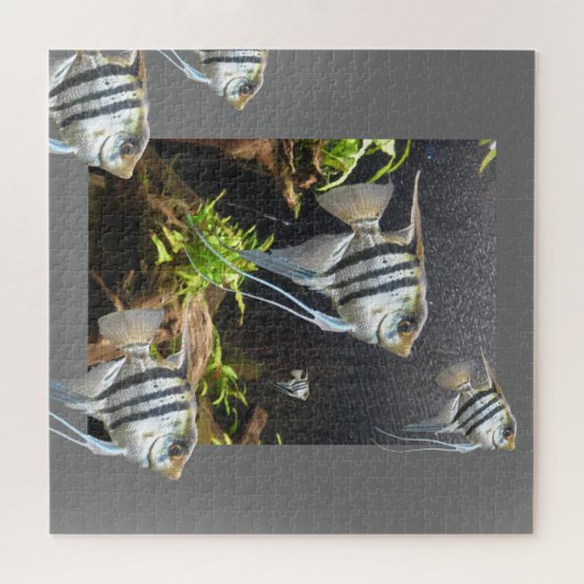 Design Puzzle: Tropische gestripte vis Legpuzzel (Horizontaal)