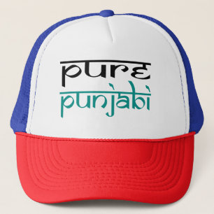 design van pet van pure punjabi pride