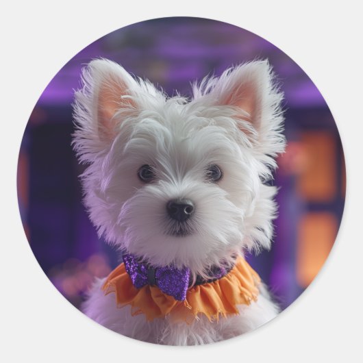 Design your own Custom Photo Stickers (Voorkant)