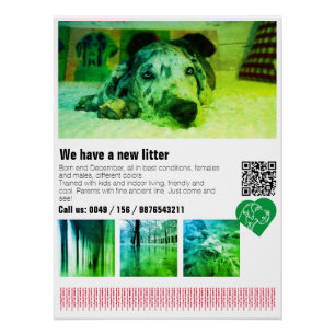 Designer Dog Great Dane Puppy Poster