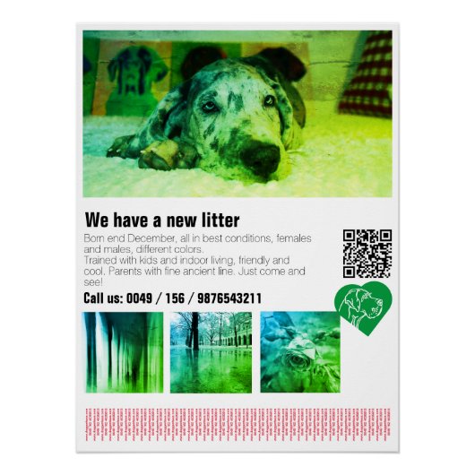 Designer Dog Great Dane Puppy Poster (Voorkant)