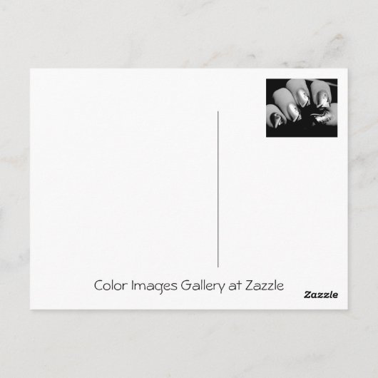 Designer Fingernagels Briefkaart (Achterkant)