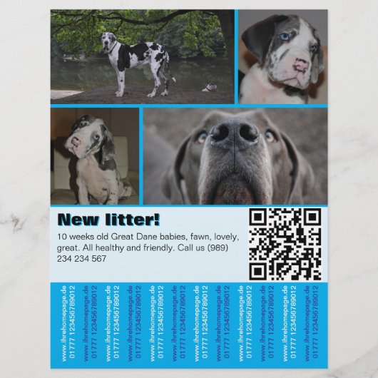 Designer Honden Verkoop Flyer 4 afbeeldingen (Voorkant)