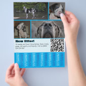 Designer Honden Verkoop Flyer 4 afbeeldingen (Hand)