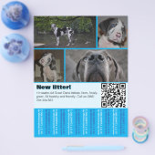Designer Honden Verkoop Flyer 4 afbeeldingen (Enkel)