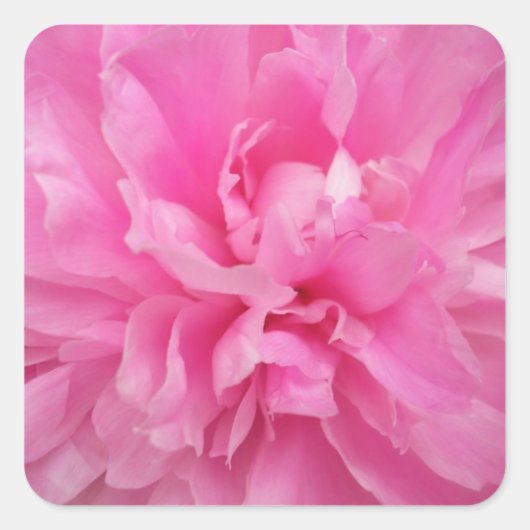 DESIGNER PINK FLORAL ENVELOPE SEAL AND STICKER (Voorkant)