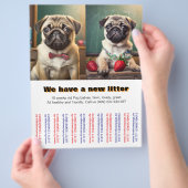 Designer Pug Puppies verkocht aan Flyer (Hand)