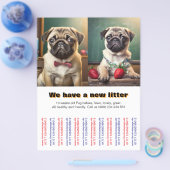 Designer Pugs Puppies te koop Flyer (Enkel)