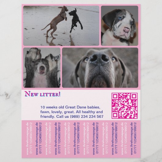 Designer Puppy Verkoop Flyer 4 afbeeldingen (Voorkant)