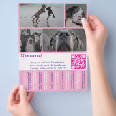 Designer Puppy Verkoop Flyer 4 afbeeldingen (Hand)