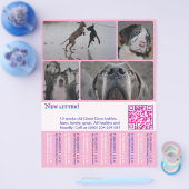 Designer Puppy Verkoop Flyer 4 afbeeldingen (Enkel)