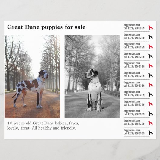 Designer Tear off Great Dane Flyer (Voorkant)