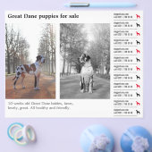 Designer Tear off Great Dane Flyer (Enkel)