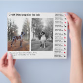 Designer Tear off Great Dane Flyer (Hand)