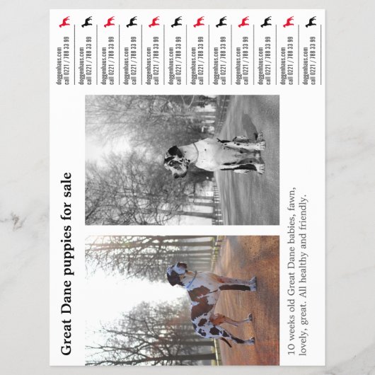 Designer Tear off Grote Dane Flyer (Voorkant)