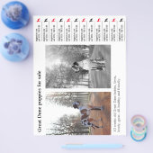 Designer Tear off Grote Dane Flyer (Enkel)