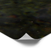 Desjardin’s sailfin tang (Zebrasoma desjardinii) Poster (Hoek)