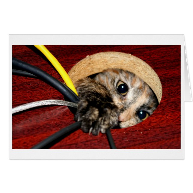 Desk nymph (Voorkant Horizontaal)