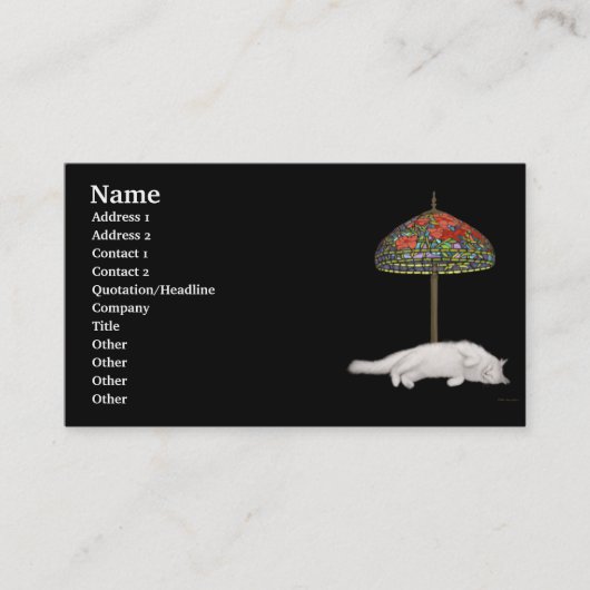 Desktop Sun Lamp Profile Card Visitekaartje (Voorkant)