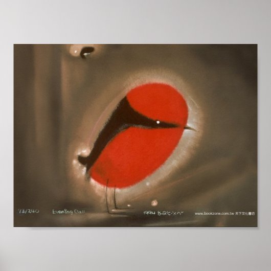 desktop_vogel2 poster (Voorkant)