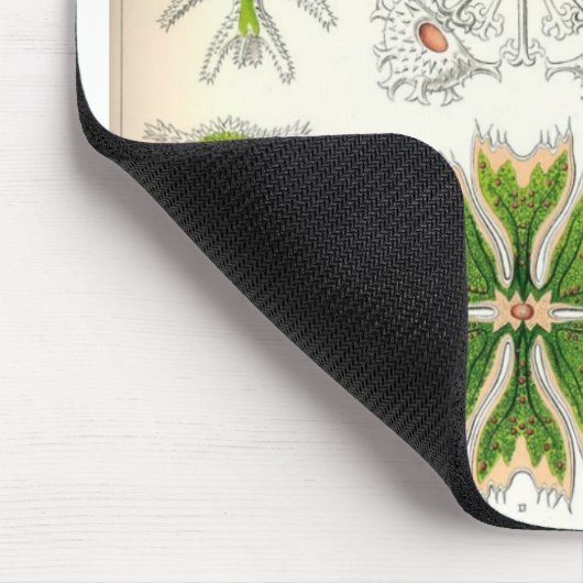 Desmid Mousepad Muismat (Hoek)