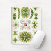 Desmid Mousepad Muismat (Met muis)