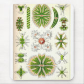 Desmid Mousepad Muismat (Voorkant)