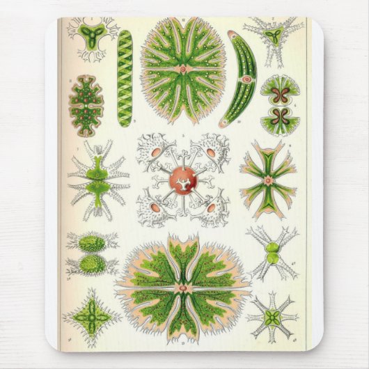 Desmid Mousepad Muismat (Voorkant)
