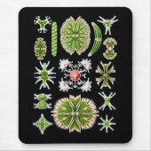 Desmids Muismat (Voorkant)