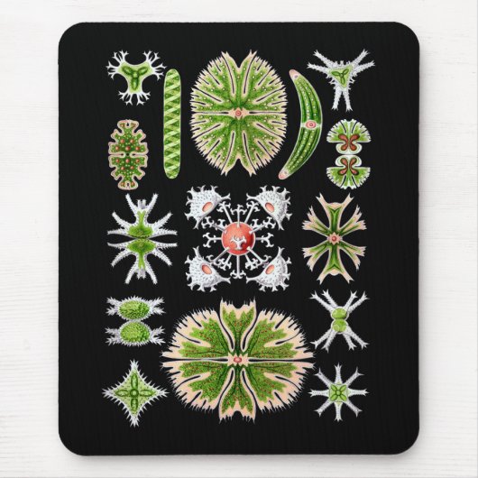 Desmids Muismat (Voorkant)