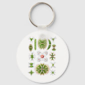 Desmids Sleutelhanger (Voorkant)