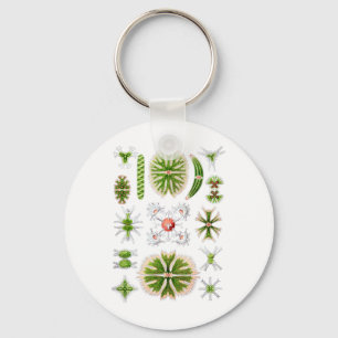 Desmids Sleutelhanger