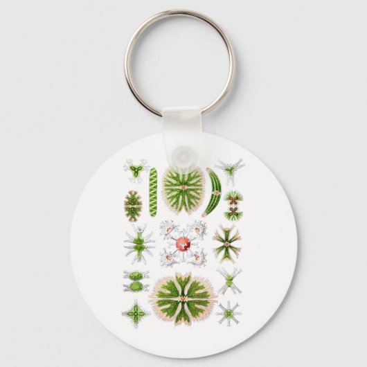 Desmids Sleutelhanger (Voorkant)