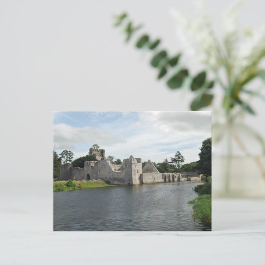 Desmond Castle Briefkaart (Staand voorkant)