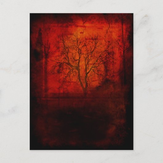 desolaat briefkaart (Voorkant)