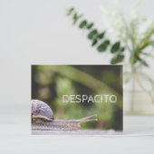 Despacito Briefkaart (Staand voorkant)