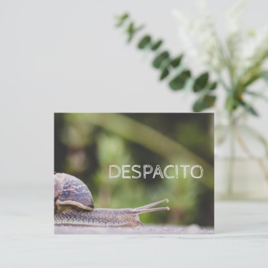 Despacito Briefkaart (Staand voorkant)
