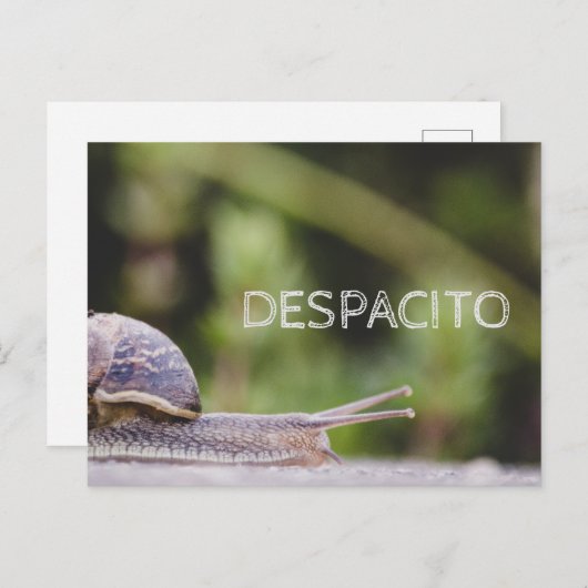 Despacito Briefkaart (Voorkant / Achterkant)