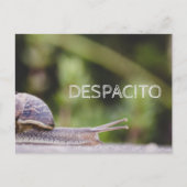 Despacito Briefkaart (Voorkant)