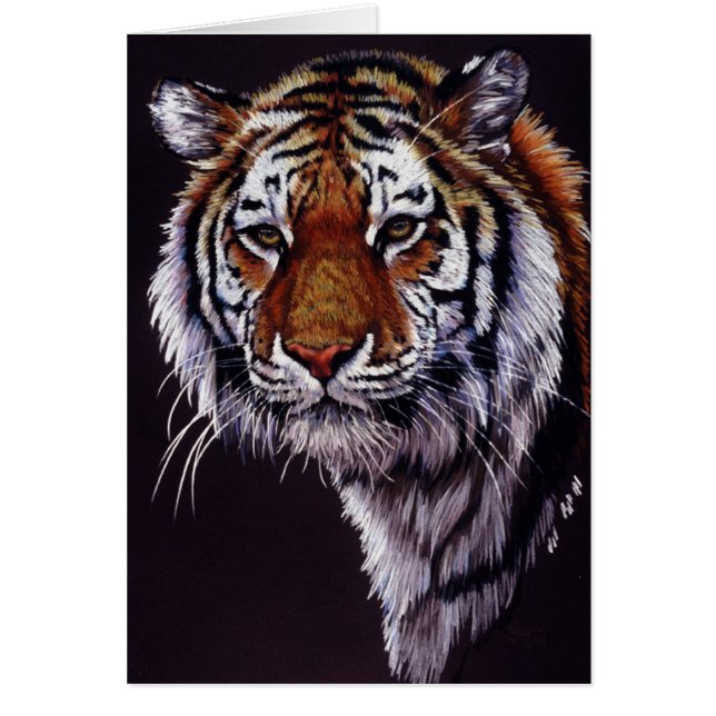 Desperado (Voorkant)