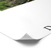 Dessert Bloom Poster (Hoek)