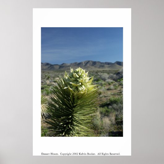 Dessert Bloom Poster (Voorkant)